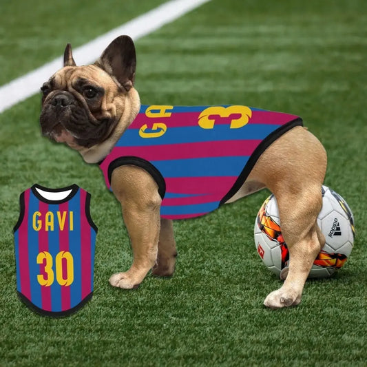 בגד לכלב בעיצוב אישי עם שמות שחקני הכדורגל האהובים עליכם - בגדים לכלבים קטנים