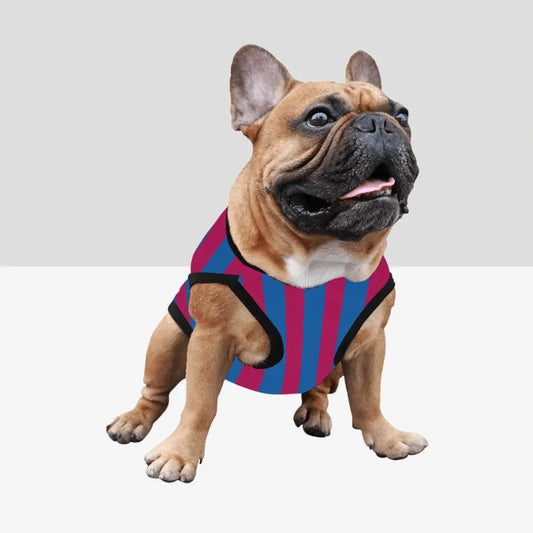 בגד לכלב בעיצוב אישי עם שמות שחקני הכדורגל האהובים עליכם - בגדים לכלבים קטנים