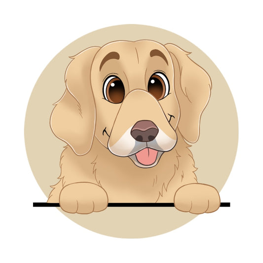 שלטים לדלת כניסה