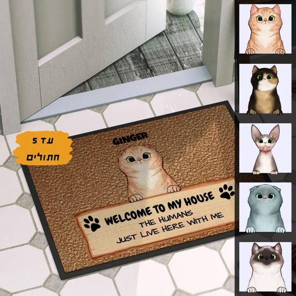 שטיח כניסה מצחיק בעיצוב אישי לאוהבי חתולים - מתנה לאוהבי חתולים, מתנה מקורית ליום הולדת