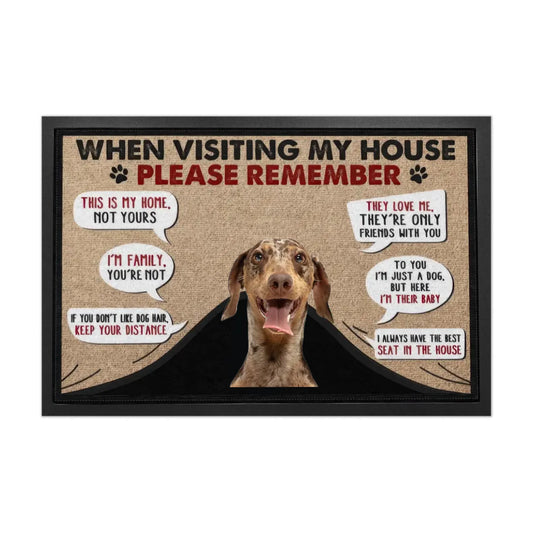 כשאתם מבקרים בבית שלי...שטיח כניסה מצחיק לאוהבי כלבים, מתנה לבעלי כלבים