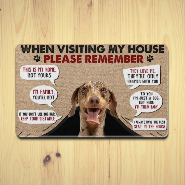 כשאתם מבקרים בבית שלי...שטיח כניסה מצחיק לאוהבי כלבים, מתנה לבעלי כלבים